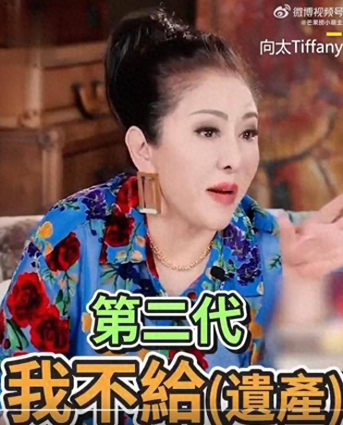 向太陈岚自曝想改遗嘱，将家族资产直接留给第三代孙辈 插图