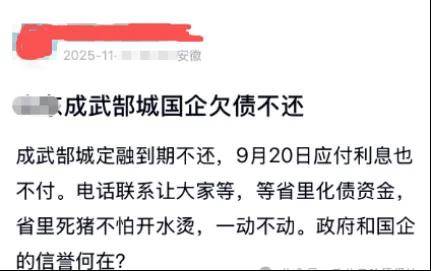 菏泽成武郜城爆雷:零参保公司陷入兑付危机 投资者追债无门(图1)