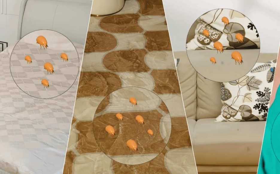 家用除螨仪是否真有用？2025标杆级家用除螨仪前十名排行榜