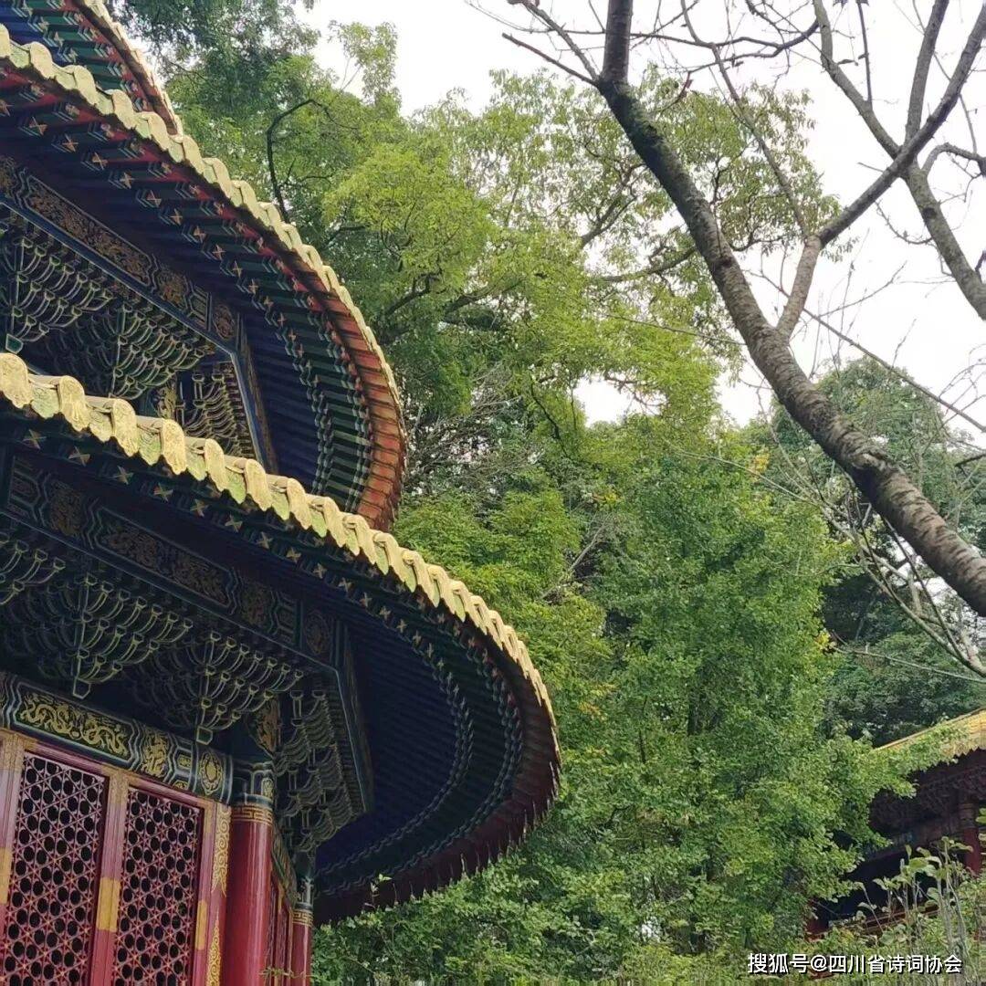 蜀诗-诗词特辑-彭州、什邡采风诗词集锦-2025年第53期(总第88期)(图16)