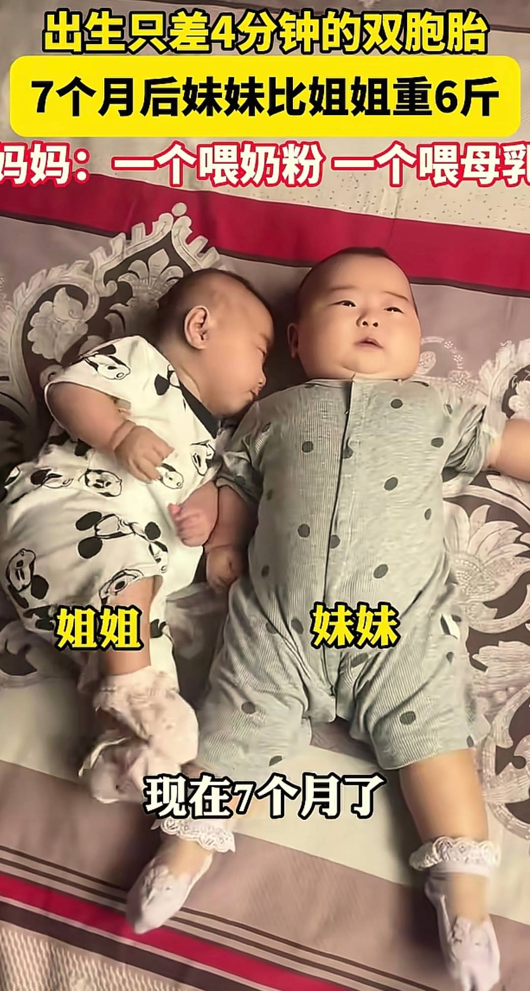 三胞胎一个喝奶粉,一个混合喂养,一个纯母乳,看起来像大中小号