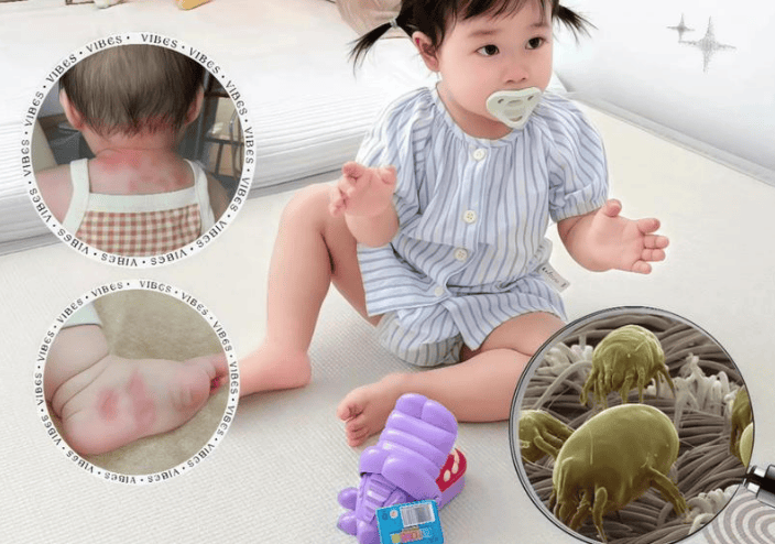 什么牌子除螨仪好?2025公认十大优质品牌排行榜公开!诚意分享