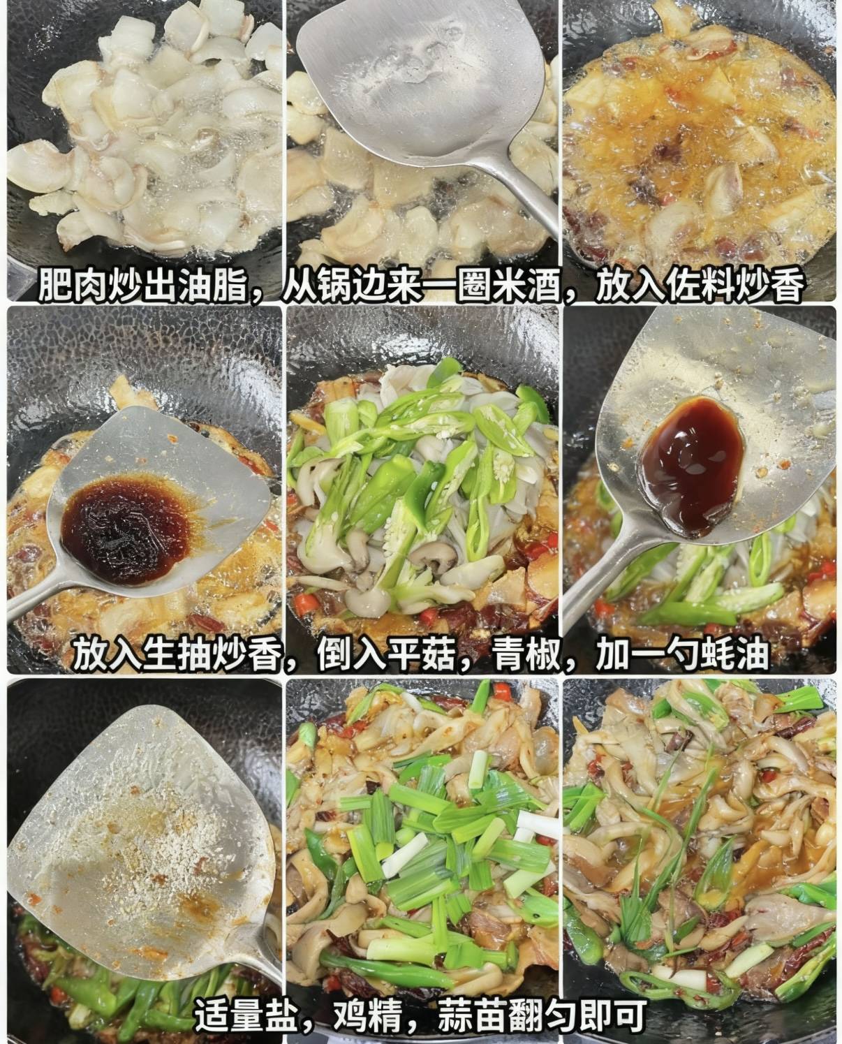 超下饭的平菇炒肉新手也能零失败拿捏