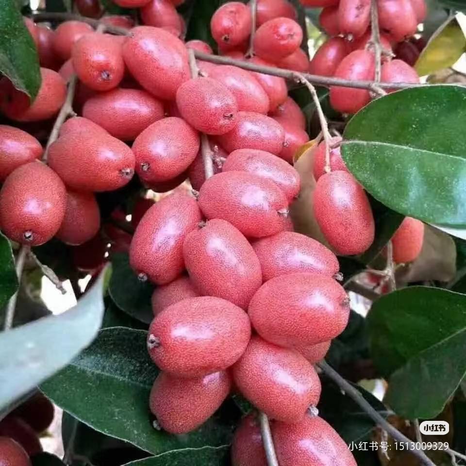 中考五五分流政策问题_职校教学质量与就业前景分析_宁波所有职高及分数线