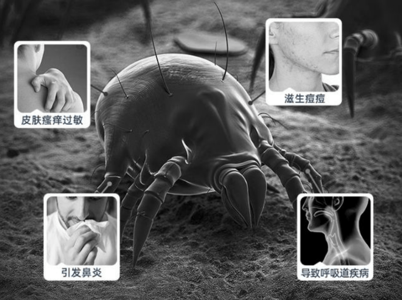 家用除螨仪哪个牌子好？十款实力口碑除螨仪排行，选购秘籍直接抄