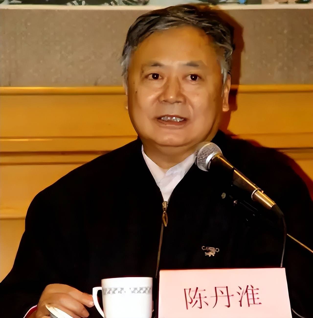 陈毅元帅的二儿子陈丹淮出生于1943年,正是陈毅担任新四军代理军长