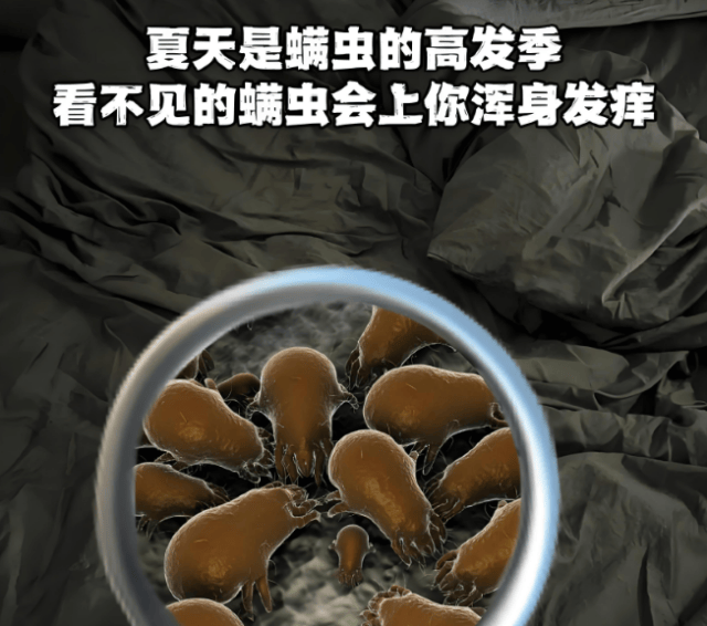 除螨仪哪个品牌好用？家用除螨仪怎么选？十大除螨仪品牌排行榜测评，口碑常青款抢先看！