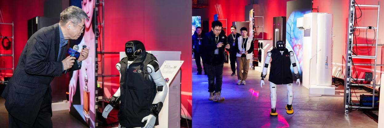 激活内需焕新动力,红顶奖与行业携手共创不凡-最极客