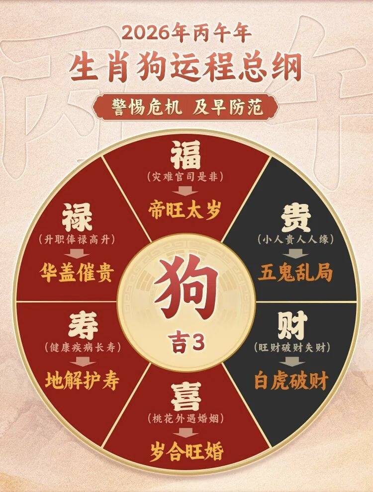 2025生肖狗和兔运势(2025年生肖狗)