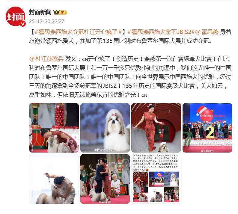 霍思燕爱犬在国际比赛夺冠，杜江发文：开心疯了！创造历史！ 插图1