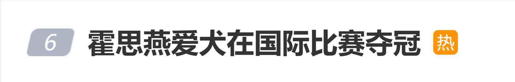 霍思燕爱犬在国际比赛夺冠，杜江发文：开心疯了！创造历史！ 插图