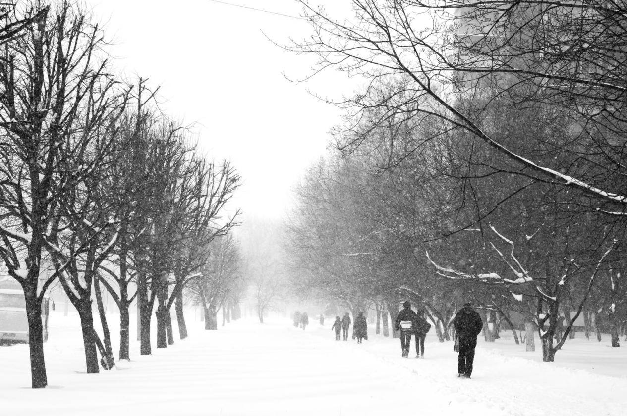 图片[2]-今年冬天，为什么越来越多人选择去韩国？ -华闻时空