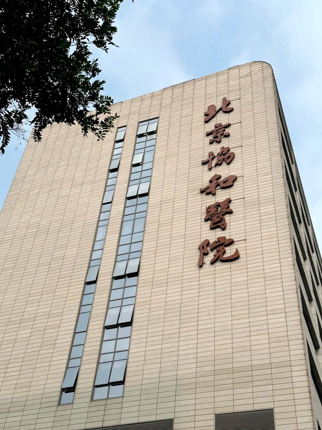 包含协和医院代挂专家号加代问诊代买药品贴心送达，不用再跑医院的词条