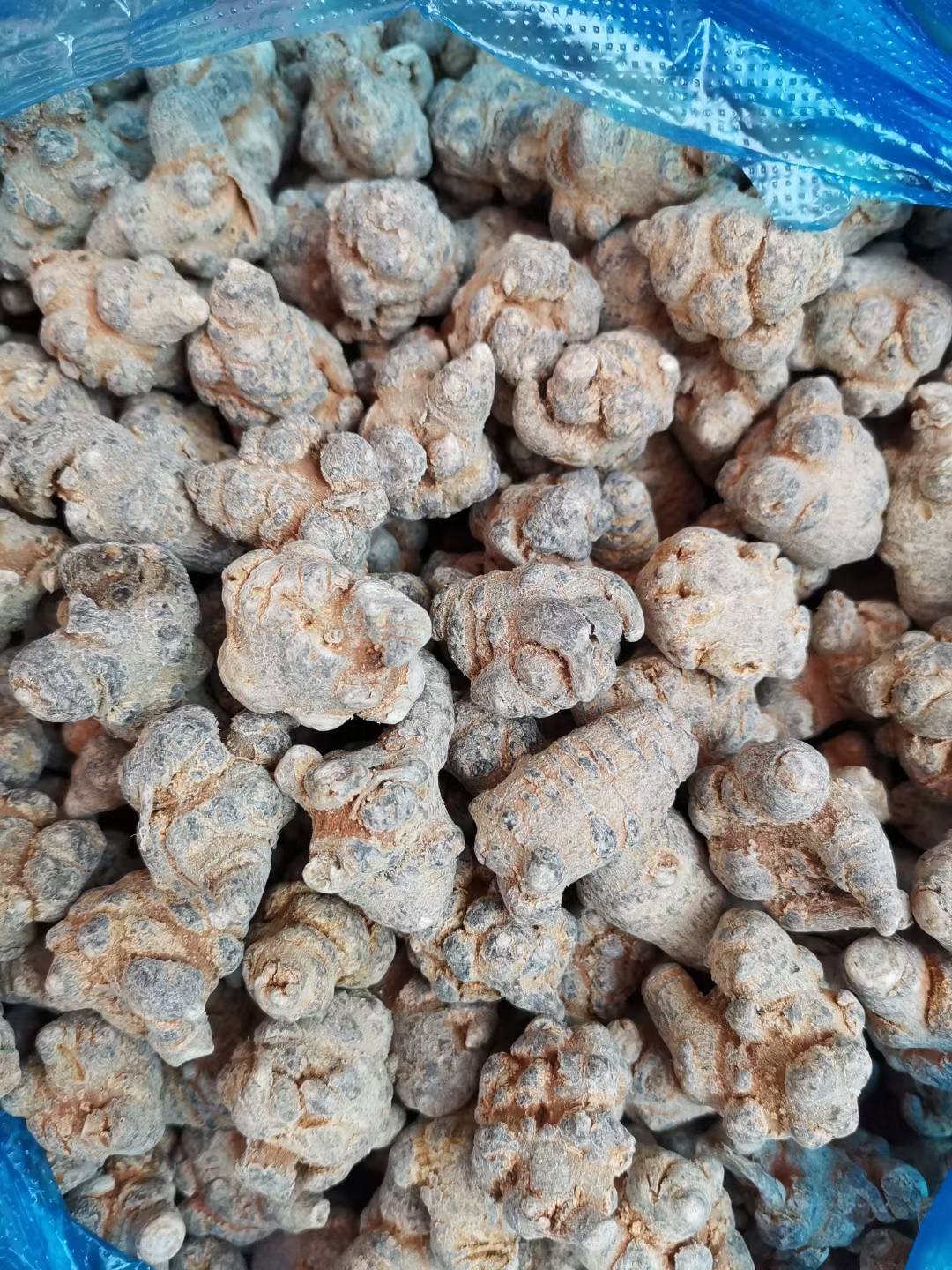 可靠的文山三七种植户推荐排行榜单