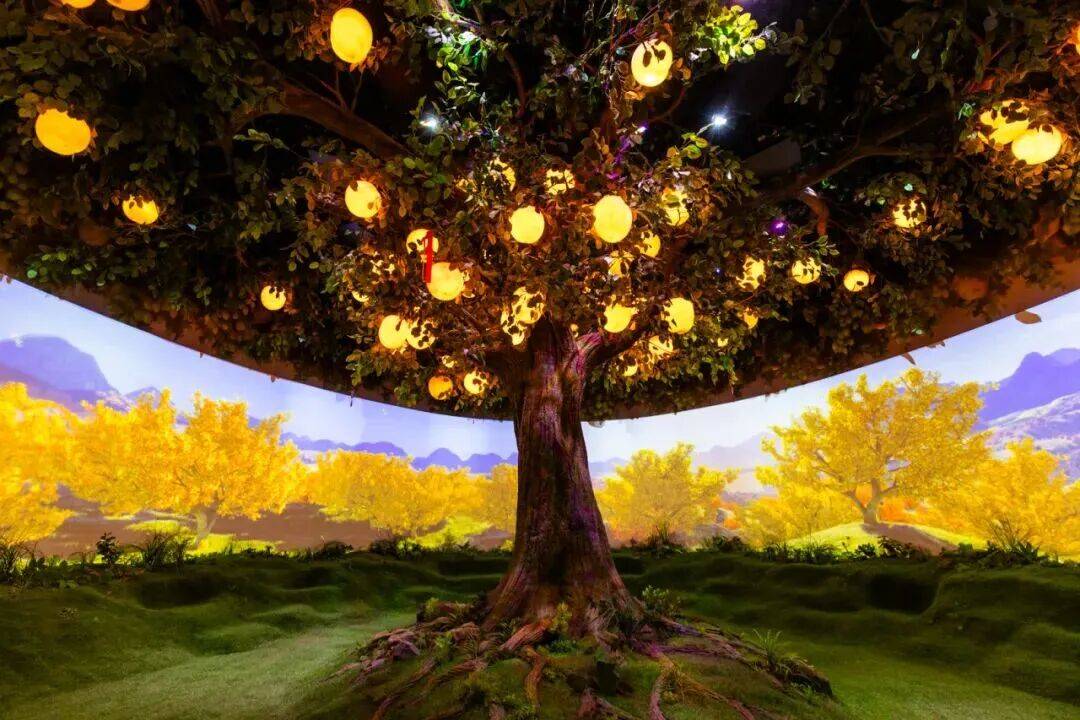  横琴3.6万㎡“莲花觅境”夜景闪亮登场！(图8)