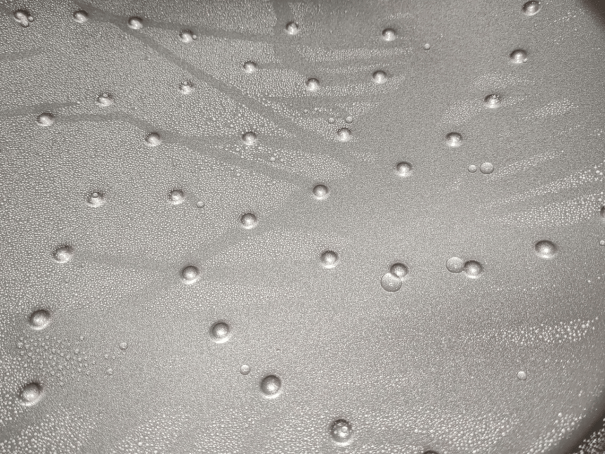 告别涂层焦虑与厨房杂乱！-帝伯朗零氟氧吧锅试用