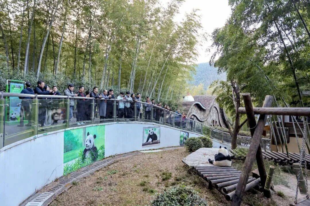 凝聚共识,共启新程!江苏省旅游协会景区分会二届二次会长扩大会议圆满落幕(图2) 凝聚共识,共启新程!江苏省旅游协会景区分会二届二次会长扩大会议圆满落幕(图2)