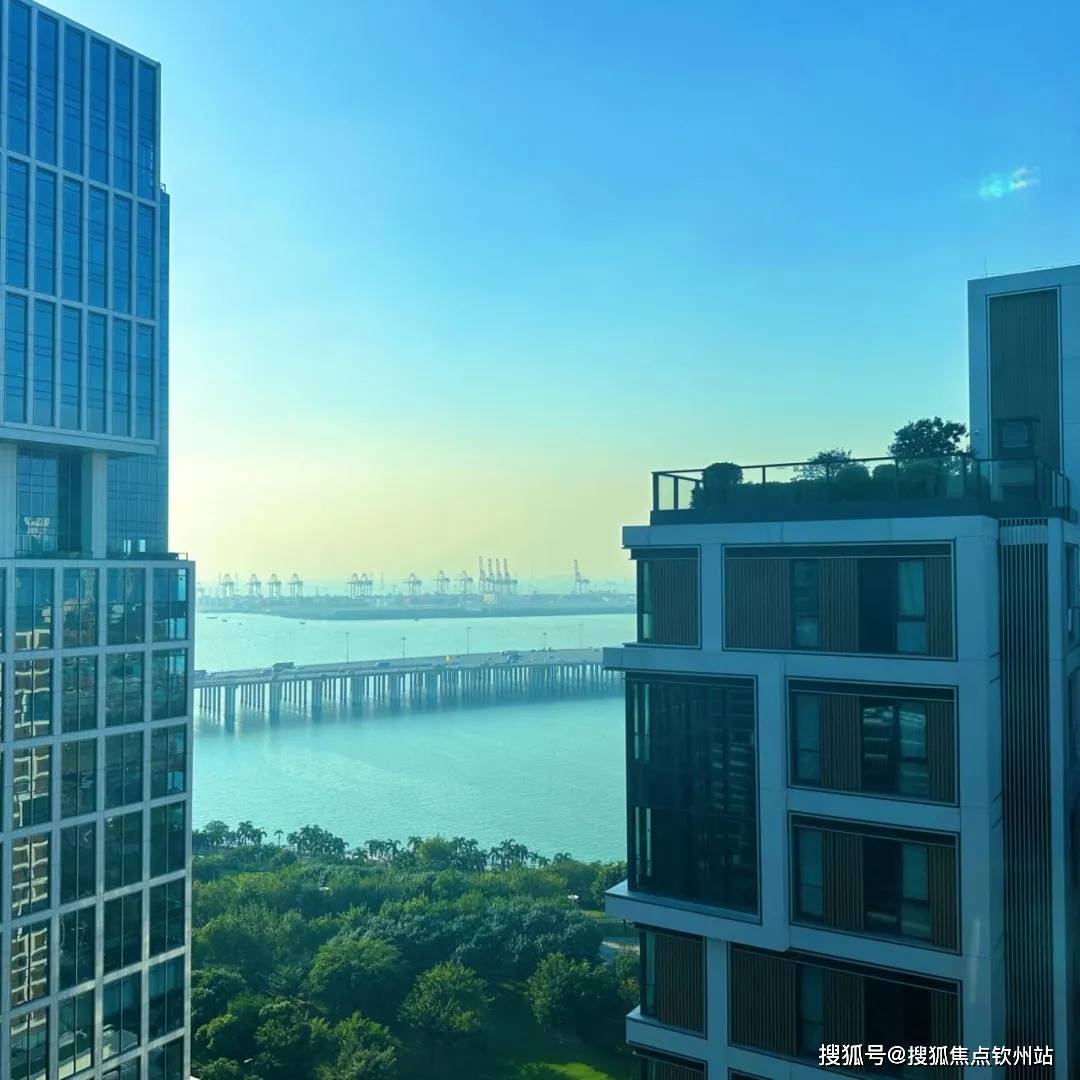 前海嘉湾官方2026.1.21(售楼处)首页网站@营销中心@前海嘉湾营销中心官方欢迎您-楼盘详情-配套-户型-地址@售楼处_生活_湾区_认证