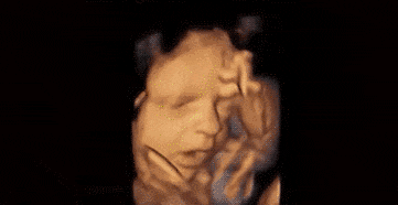 胎儿在肚子里会不会无聊？其实不然......