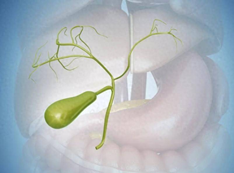 原创            胆囊癌早期太像普通小毛病，90%确诊时错过黄金期，3类症状快就医