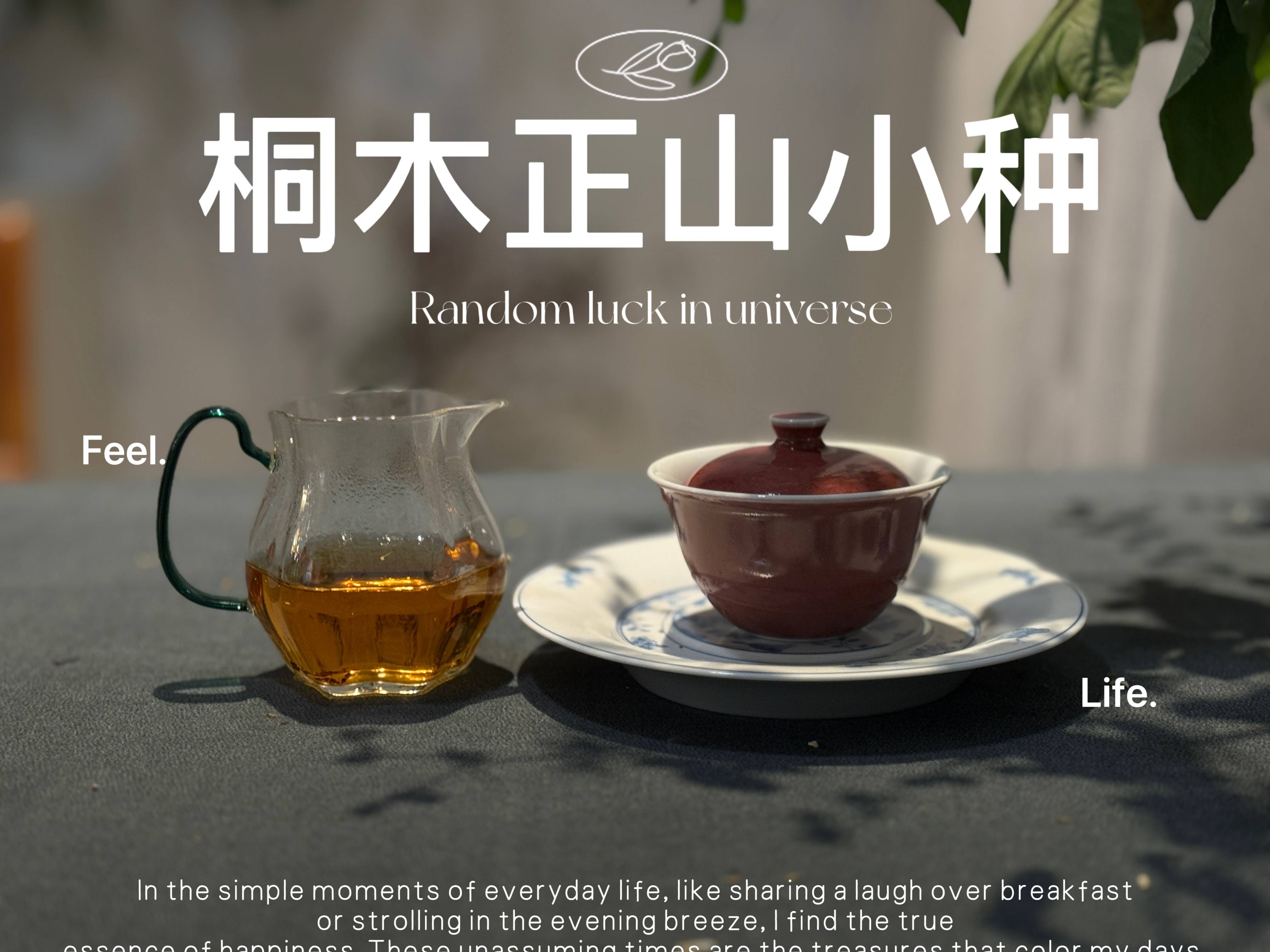 原创            今日腊八，一年中最寒冷的时节，手把手教你煮一壶暖心腊八茶