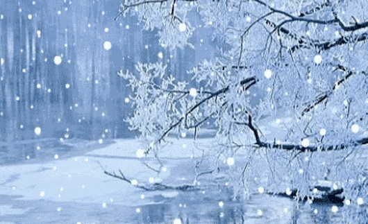 大寒后这样调理，脾胃健运阳气足，助力健康迎新春！