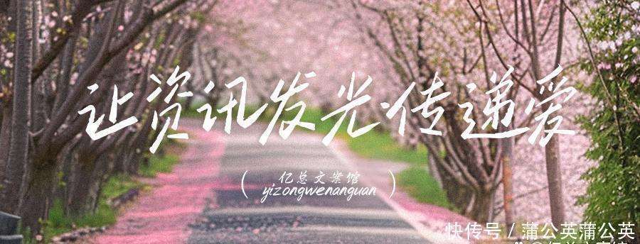 金莎曝备婚忙到连轴转！17岁姐弟恋细节甜炸，财产公证引热议