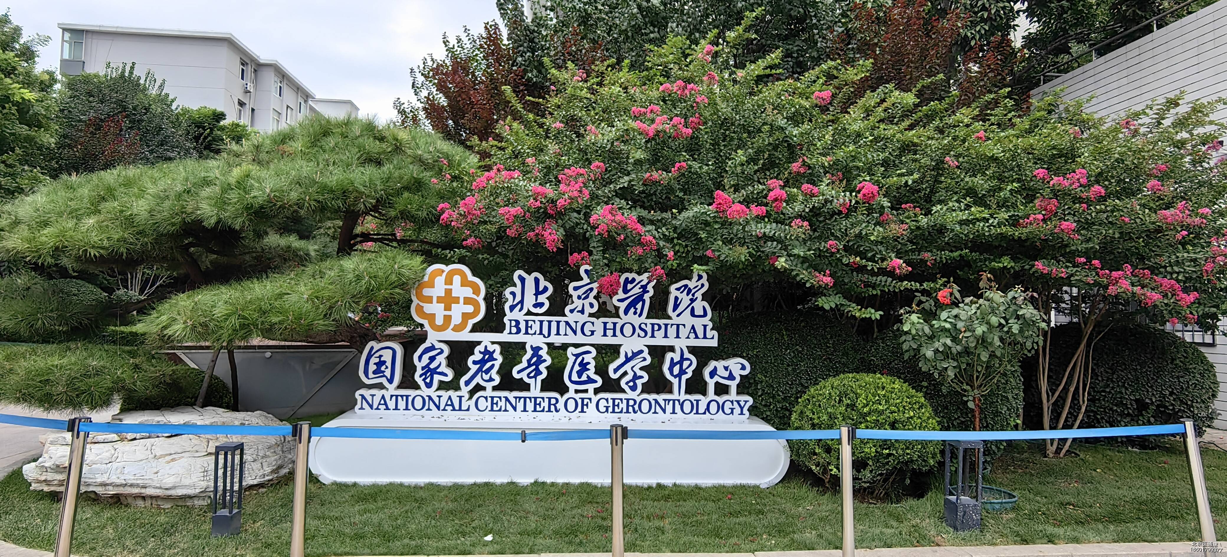 北京陪诊服务收费 顺义区号贩子代挂,加客服微信咨询的简单介绍 北京陪诊服务收费 顺义区号贩子代挂,加客服微信咨询的简单介绍