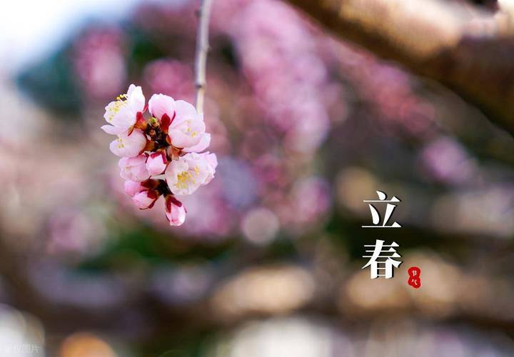 原创            立春前几天，是养阳气最好日子，建议多吃它，直接把阳气补到肾里