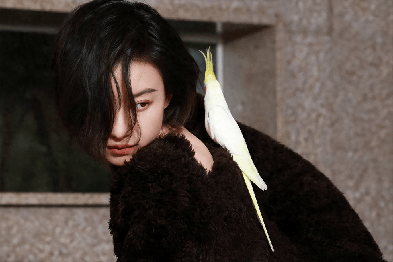 倪妮趣味写真释出