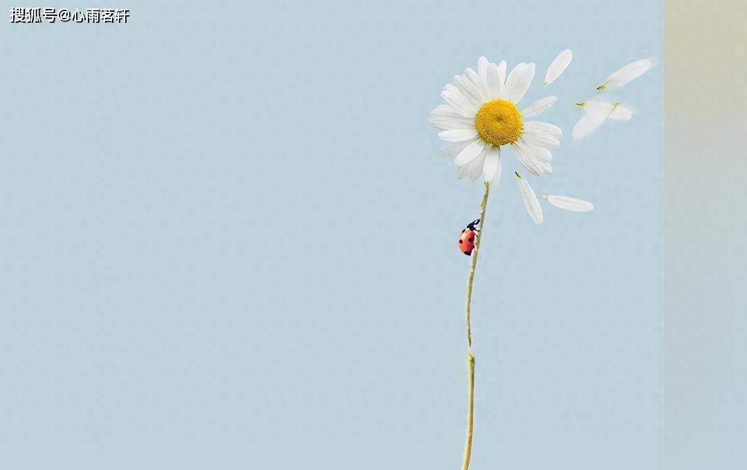 抑郁症到底怎么治疗？怎么才能彻底摆脱它