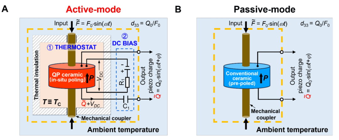 突破70年瓶颈！科学家造出超级压电陶瓷，让微型机器人肌肉更发达、VR触觉可成真