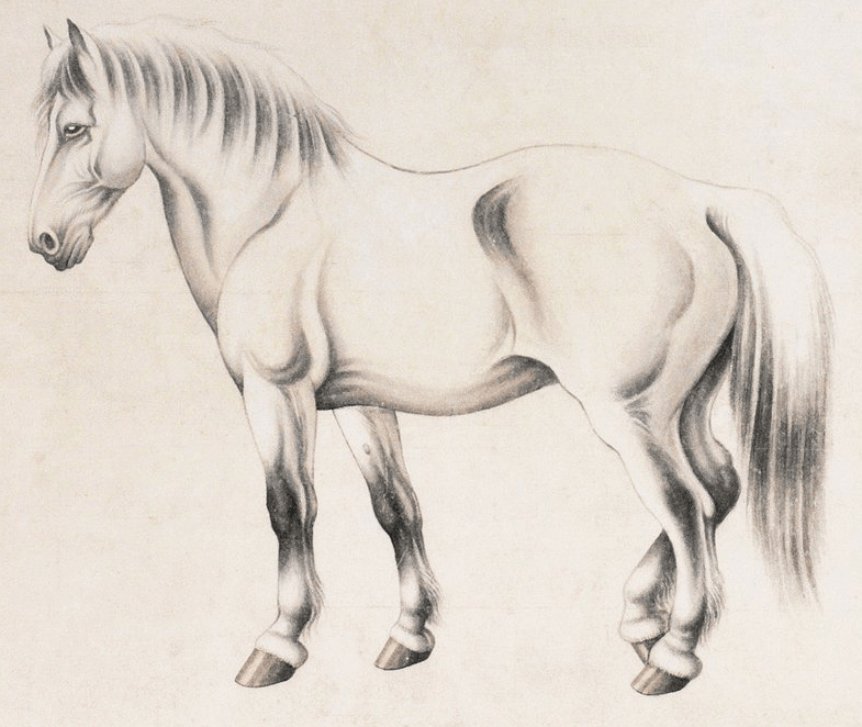 Tháng 2: 4 con giáp được quý nhân phù trợ, tiền bạc rủng rỉnh