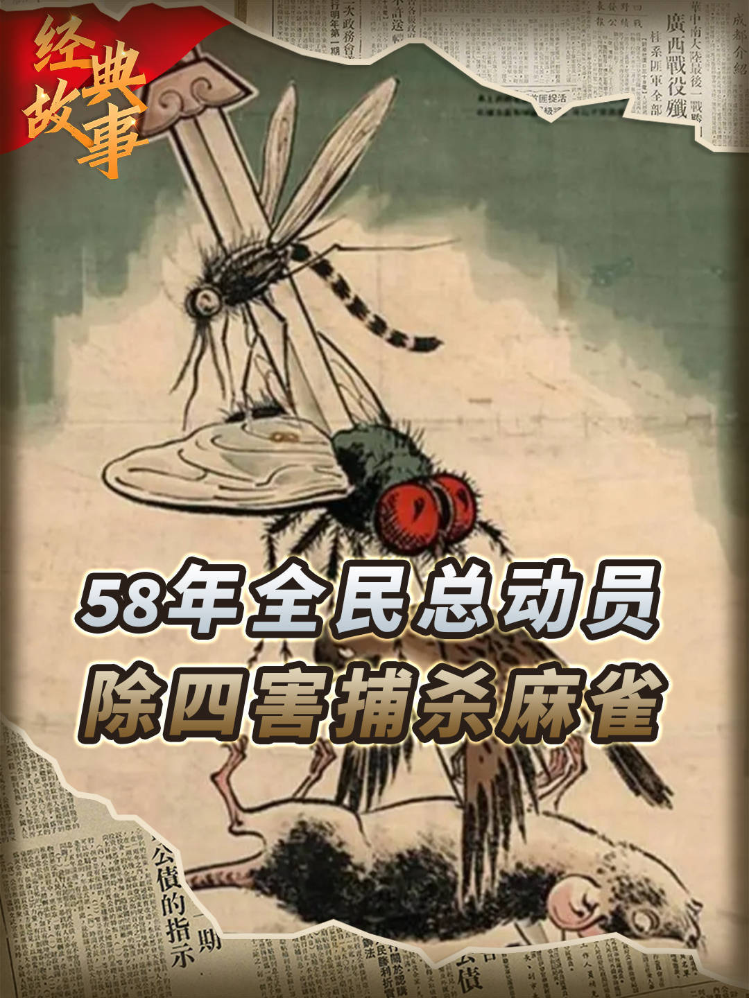 1958年珍贵影像，全民总动员除四害捕杀麻雀，麻雀被打得四处逃窜