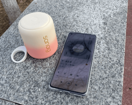 便携式蓝牙音箱哪个牌子音质最好?2026年十款最好的蓝牙音箱推荐,看完不纠结