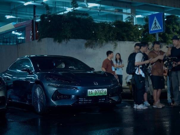 从《惊蛰无声》到街头巷尾,那些守护我们的“无言战友”