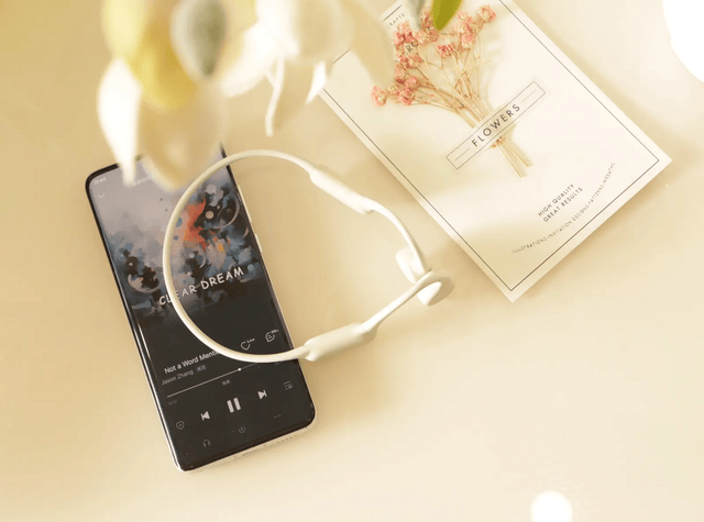 开车打电话用什么蓝牙耳机好?打电话降噪蓝牙耳机体验分享