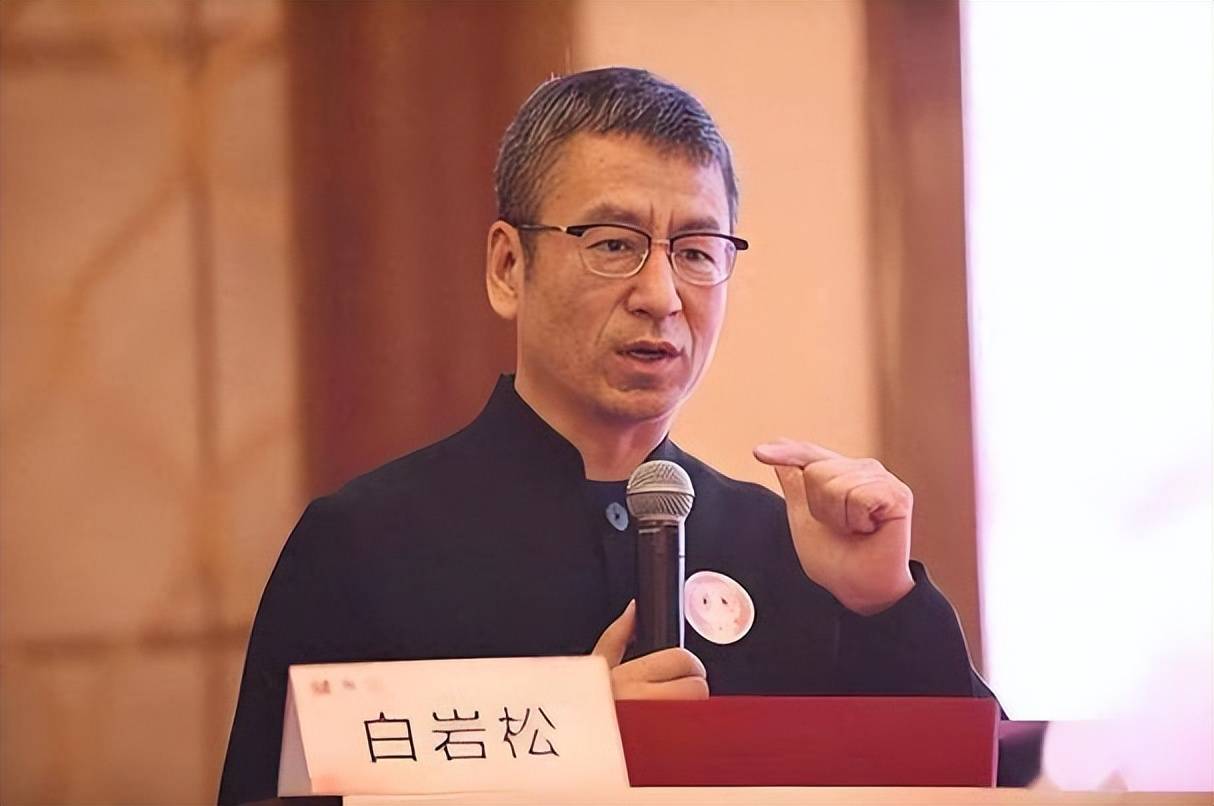 200元养老金难撑体面晚年:白岩松两会发声,直言农民养老金太低-图片13