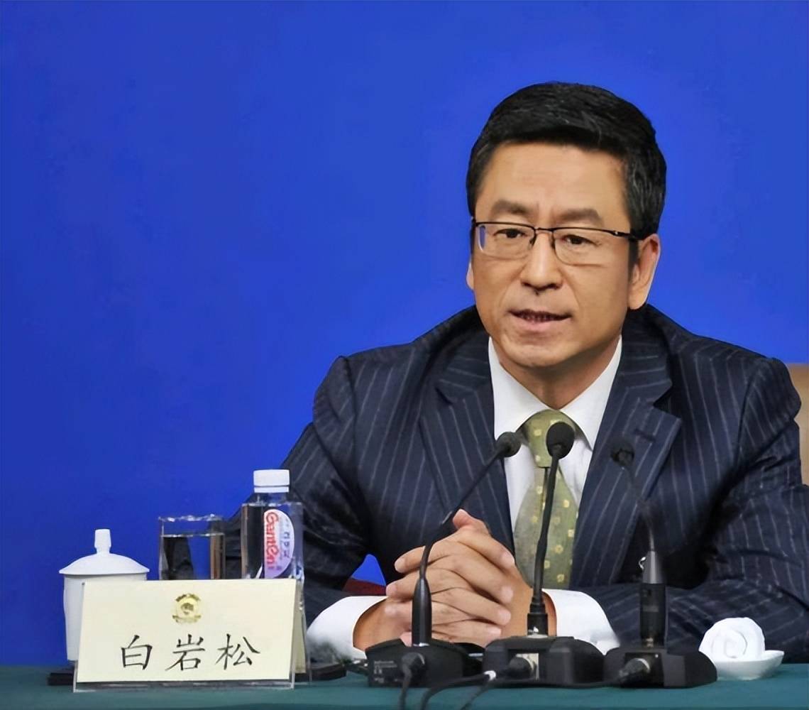 200元养老金难撑体面晚年:白岩松两会发声,直言农民养老金太低-图片2