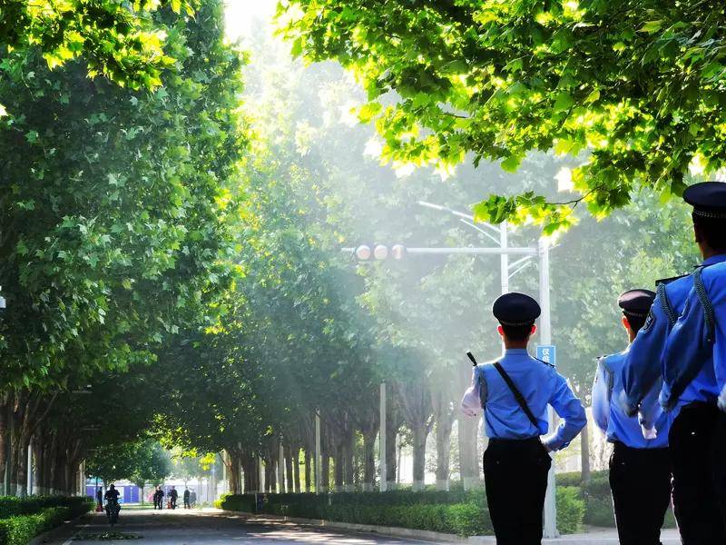 ���벻���ޣ��������³̣�פ����ְҵ����ѧԺ���б���ָ��