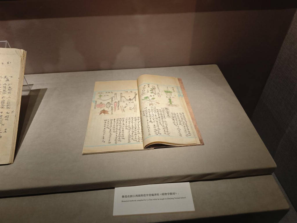 ³Ѹ��ʵ�Ǹ���������ˡ�