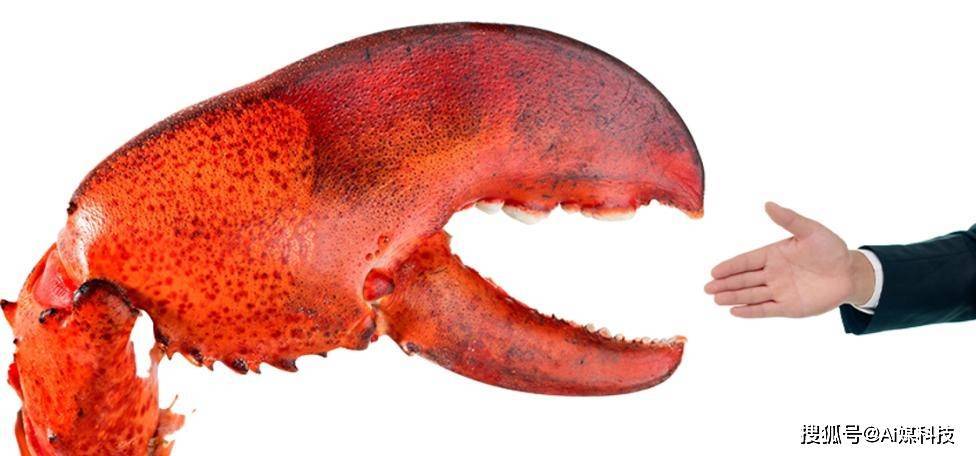 Meta AI“大裁员”风暴：新模型“牛油果”延迟背后的真实危机！