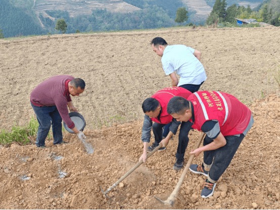 移动助力春耕忙 乡村振兴添动能 