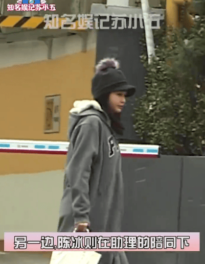 陈冰产后首度公开亮相 灰色裙装尽显窈窕身姿