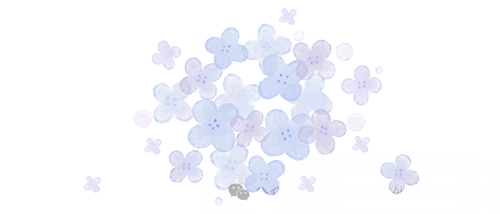 活过了肝癌破裂,却没来得及救弟弟:一句叮嘱,一生遗憾