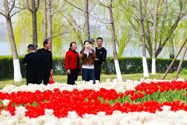 南阳市2026“春季赏花 畅游南阳”暨<br>新野县赏花旅游季・文旅促消费活动盛大开幕