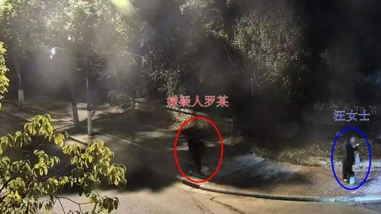六旬阿姨在K歌软件谈网恋，约好线下见面，来的竟是不满14岁少年