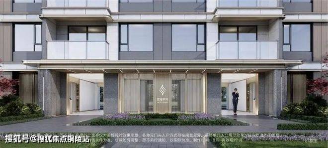2米高罗汉松初次如何造型