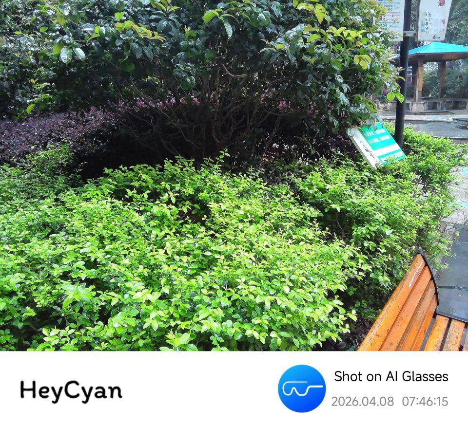 拍照、听歌、翻译、AI样样精通，千元WAGAWAGA AI眼镜初体验！