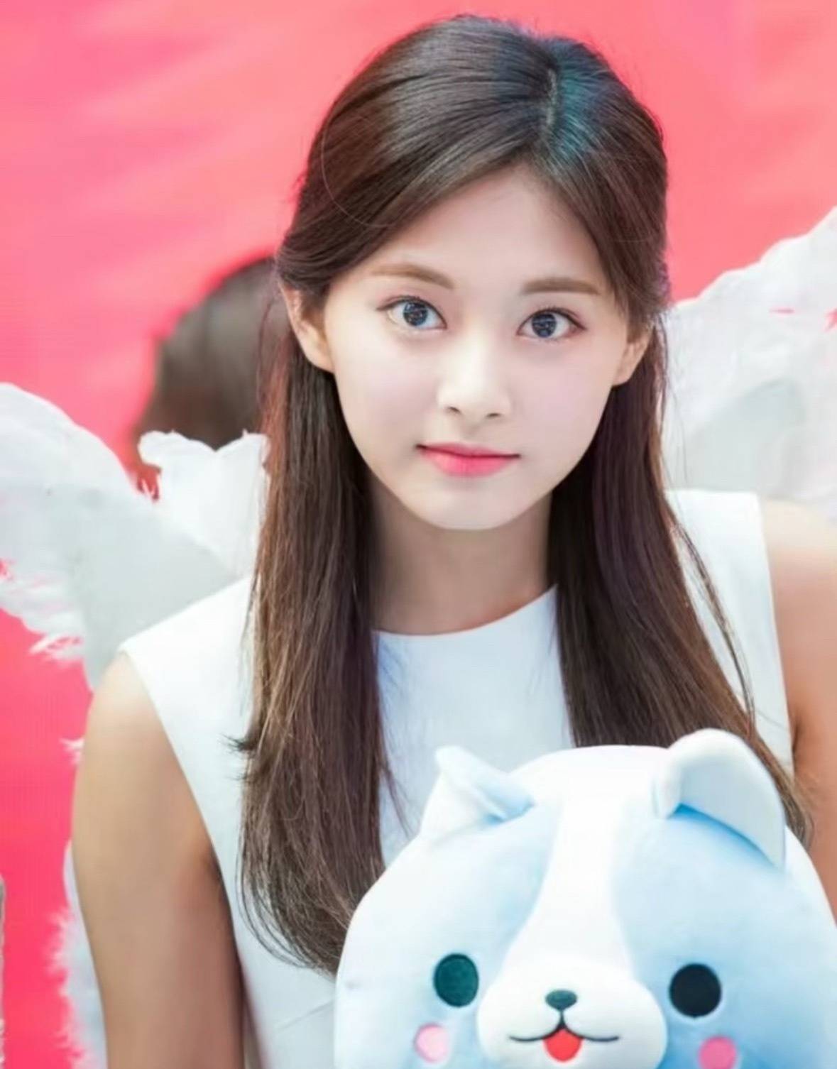 饭圈中的瓜和花是什么意思__lqs瓜